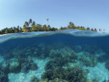 Split-Level Shot of Coral Reef and Shore, Phillippines