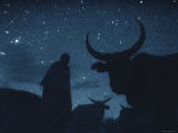 Buy Maasai Herdsman, Serengeti National Park, Ngorongoro Conservation Area, Tanzania, East Africa at AllPosters.com