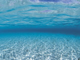 Sandy Seabed Underwater View, Indo-Pacific