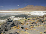 Lago Colorado, White Mineral Deposits and Red Dinoflagellates, 4200M Altitude, Andes, Bolivia
