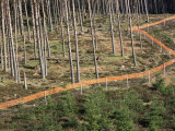 Deer Fence Protects Tree Plantation, Red Tape Reduces Grouse Collision, Highlands Scotland