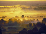 Sun Rise Over the Bryansk Forest, Bryansky Les Zapovednik, Russia