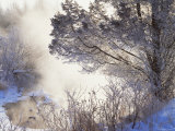 Buy Early Morning Winter Frost Near River, Wisconsin, USA at AllPosters.com