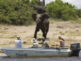 Tourists Watching African Elephants, from Boat, Chobe National Park, Botswana, Africa