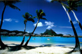 Palm Trees, Bora Bora Poster