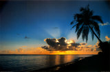 Sunrise Paradise Poster