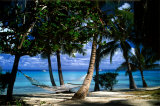 Tropical Retreat Poster