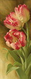 Buy Spring's Parrot Tulip II at AllPosters.com