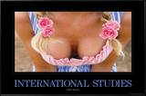 International Studies