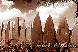 Surf Hawaii