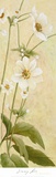 Buy The Beginning II at AllPosters.com
