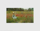 In Flanderns Field