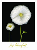 Buy Two Friends II at AllPosters.com