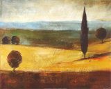 Buy Tuscan Vista I at AllPosters.com
