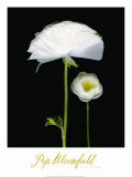 Buy Two Friends I at AllPosters.com