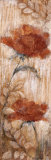 Buy Long Tall Poppies I at AllPosters.com