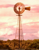 Buy Rural Windmill at AllPosters.com