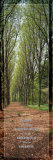 Buy Serenity Prayer at AllPosters.com