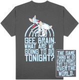 Buy Animaniacs - Pinky and Brain World Takeover at AllPosters.com