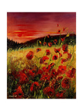 Buy Red Poppies Sunset at AllPosters.com