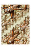 Buy Depth, c.1955 at AllPosters.com