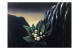 Les Fleurs de l'Abi^me 1, c.1928