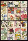 Gardener's Alphabet