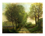 A Lane Near a Small Town