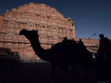Camel Traffic in Front of the Hawa Malah (Palace of the Winds), Jaipur, Rajasthan State, India
