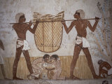 Tomb of Menna, Valley of the Nobles, Thebes, Egypt, North Africa, Africa