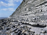 Buy Fossil Bearing Lias Beds, Seven Rock Point, Jurassic Coast, Lyme Regis at AllPosters.com