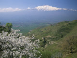 Buy Mount Etna, Island of Sicily, Italy, Mediterranean at AllPosters.com