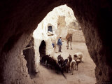 Buy Cave Dwellings, Matmata, Tunisia, North Africa, Africa at AllPosters.com