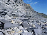 Buy Fossil Bearing Lias Beds, Seven Rock Point, Jurassic Coast, Lyme Regis at AllPosters.com