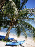 Buy Beach with Palm Tree and Kayak, Punta Soliman, Mayan Riviera, Yucatan Peninsula, Mexico at AllPosters.com