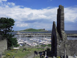 Buy St. Mary's Abbey Ruins and the Harbour, Howth, Co. Dublin, Eire (Republic of Ireland) at AllPosters.com