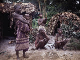 Buy Mbnti Pygmies and Their Forest Huts, Ituri Rain Forest, Northern Zaire, Zaire, Africa at AllPosters.com