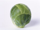 Buy A Single Brussels Sprout at AllPosters.com