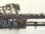 Early Morning River Scene, Northern Area, Nigeria, Africa