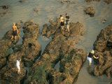 Buy Children Fishing in Rock Pools, Sidmouth, Devon, England, United Kingdom at AllPosters.com