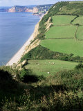 Buy Coastline Near Sidmouth, Devon, England, United Kingdom at AllPosters.com