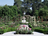 Buy Rose Garden, Parque Del Retiro, Madrid, Spain at AllPosters.com