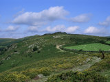 Buy Horse Rider on Track to Mel Tor, Dartmoor, Devon, England, United Kingdom at AllPosters.com