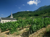 Jonjieux (Jonzieux), Savoie Vineyards, Rhone Alpes, France