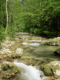 Buy Gorges d'Omblez, Near La Chapelle En Vercors, Drome, Rhone Alpes, France at AllPosters.com