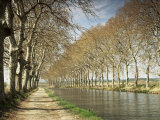 Buy The Canal Du Midi, Near Capestang, Languedoc Roussillon, France at AllPosters.com