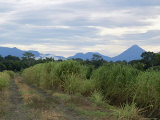 Buy Arenal Volcano from Afar, Muelle, Alajuela, Costa Rica, Central America at AllPosters.com
