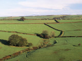 Buy Fields on the Edge of Exmoor National Park, Challacombe, Exmoor, Devon, England at AllPosters.com