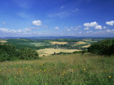 Buy South Harting from the South Downs Way, Harting Down, West Sussex, England, United Kingdom at AllPosters.com