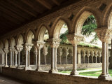 Buy Cloister of Moissac, Moissac, Tarn Et Garonne, France at AllPosters.com